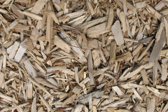 biomass boilers Dolywern