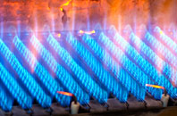Dolywern gas fired boilers